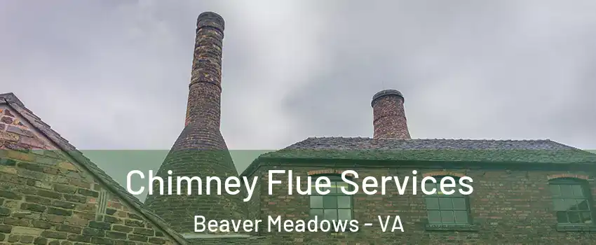 Chimney Flue Services Beaver Meadows - VA