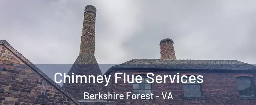 Chimney Flue Services Berkshire Forest - VA