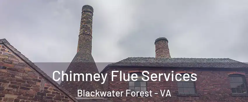 Chimney Flue Services Blackwater Forest - VA