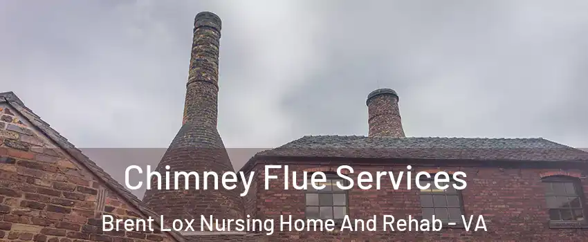 Chimney Flue Services Brent Lox Nursing Home And Rehab - VA