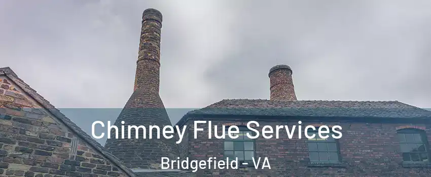 Chimney Flue Services Bridgefield - VA