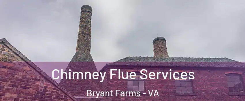 Chimney Flue Services Bryant Farms - VA