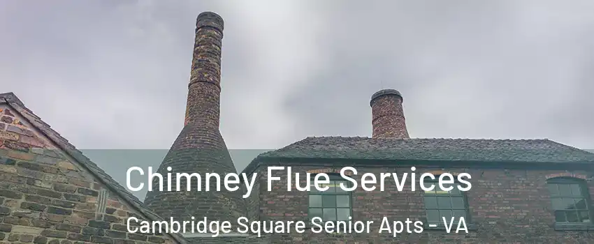 Chimney Flue Services Cambridge Square Senior Apts - VA