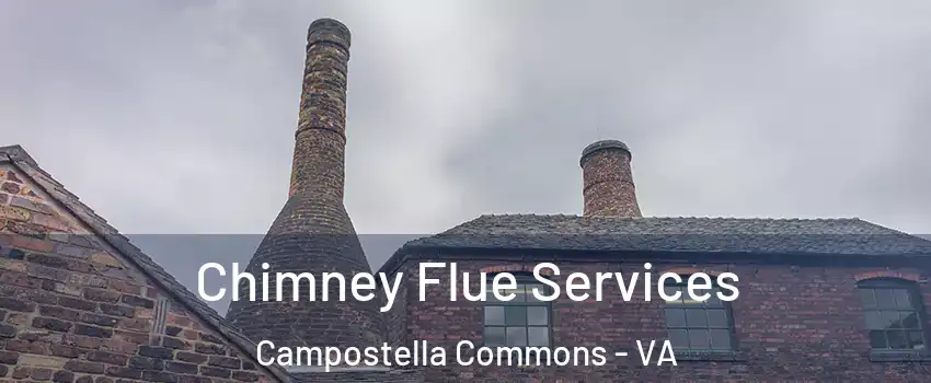 Chimney Flue Services Campostella Commons - VA