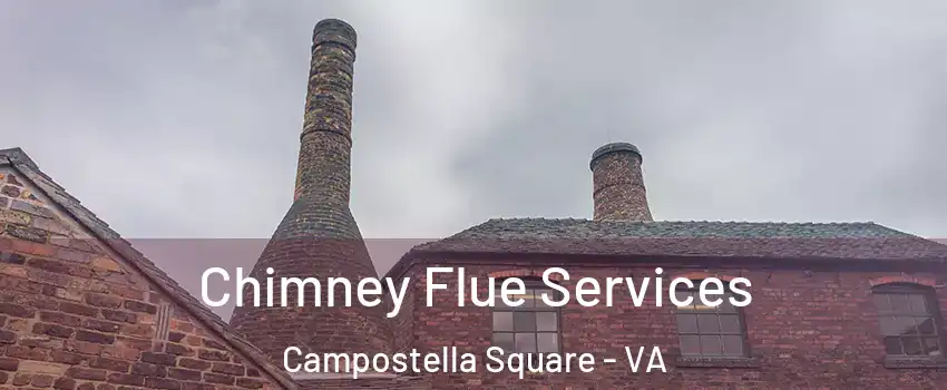 Chimney Flue Services Campostella Square - VA