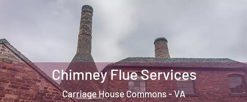 Chimney Flue Services Carriage House Commons - VA
