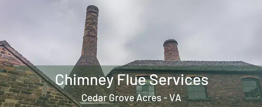 Chimney Flue Services Cedar Grove Acres - VA