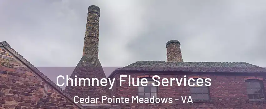 Chimney Flue Services Cedar Pointe Meadows - VA