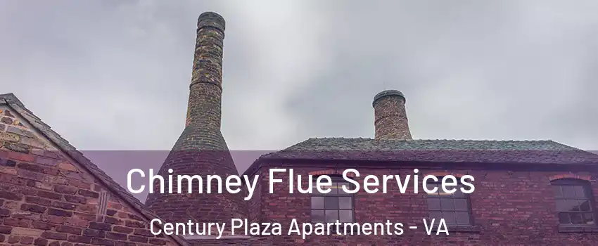 Chimney Flue Services Century Plaza Apartments - VA