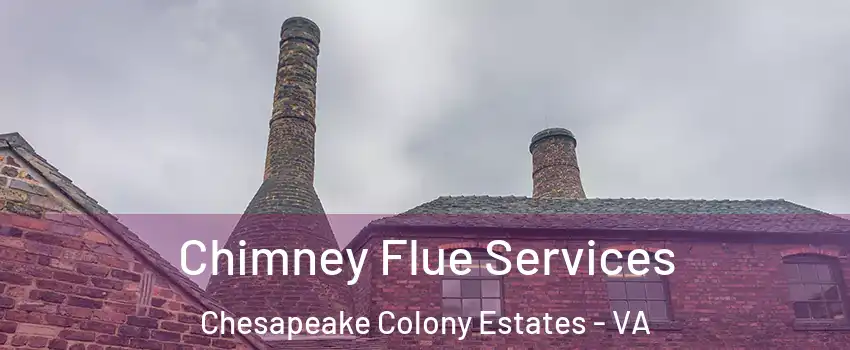 Chimney Flue Services Chesapeake Colony Estates - VA