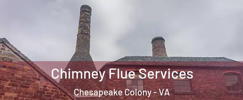Chimney Flue Services Chesapeake Colony - VA