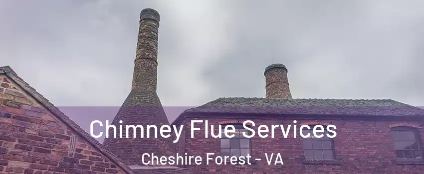 Chimney Flue Services Cheshire Forest - VA