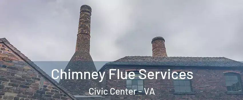 Chimney Flue Services Civic Center - VA