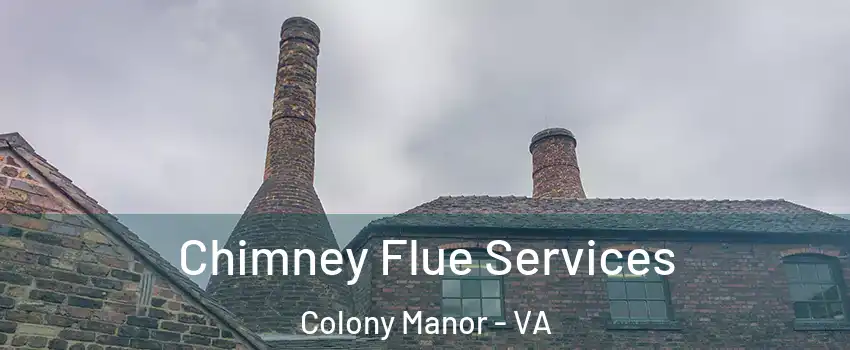 Chimney Flue Services Colony Manor - VA