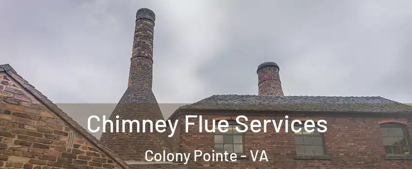 Chimney Flue Services Colony Pointe - VA