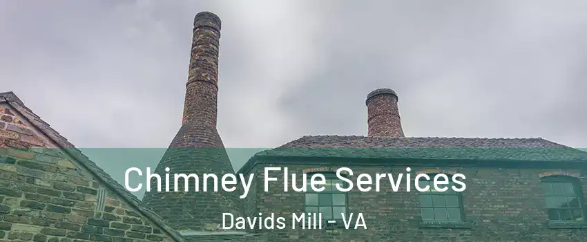 Chimney Flue Services Davids Mill - VA