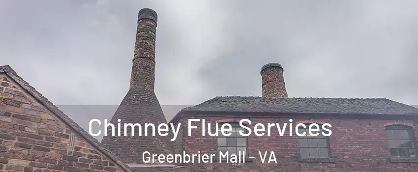Chimney Flue Services Greenbrier Mall - VA