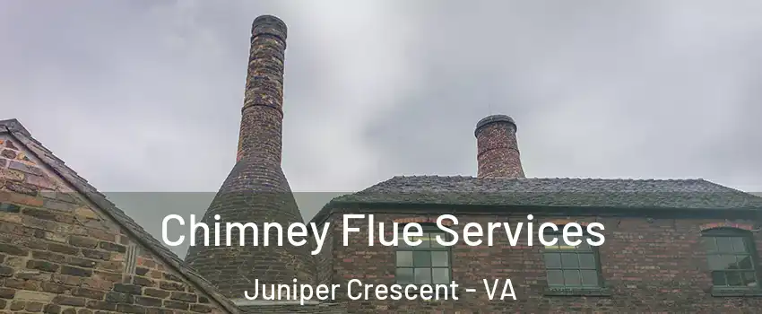 Chimney Flue Services Juniper Crescent - VA
