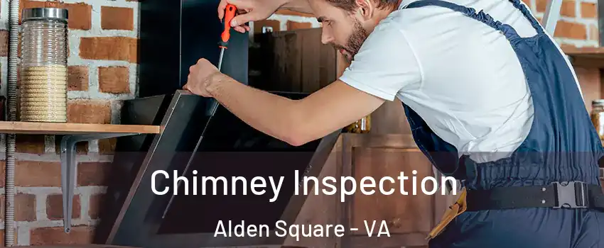 Chimney Inspection Alden Square - VA