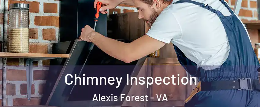 Chimney Inspection Alexis Forest - VA