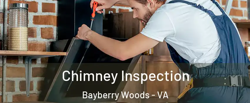 Chimney Inspection Bayberry Woods - VA