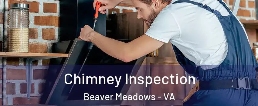 Chimney Inspection Beaver Meadows - VA