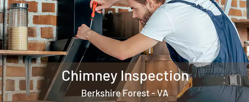 Chimney Inspection Berkshire Forest - VA