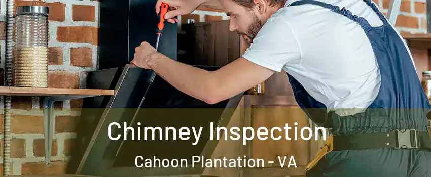 Chimney Inspection Cahoon Plantation - VA