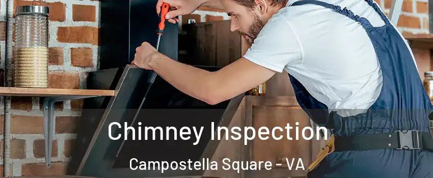 Chimney Inspection Campostella Square - VA