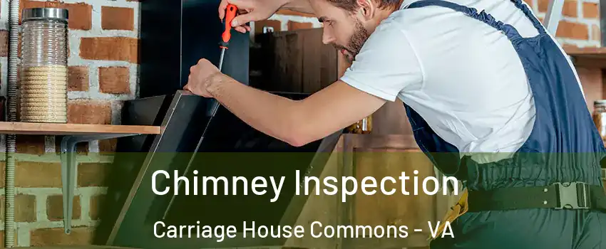 Chimney Inspection Carriage House Commons - VA