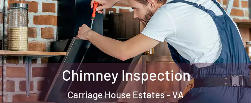 Chimney Inspection Carriage House Estates - VA