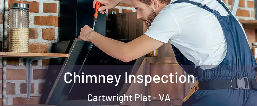 Chimney Inspection Cartwright Plat - VA