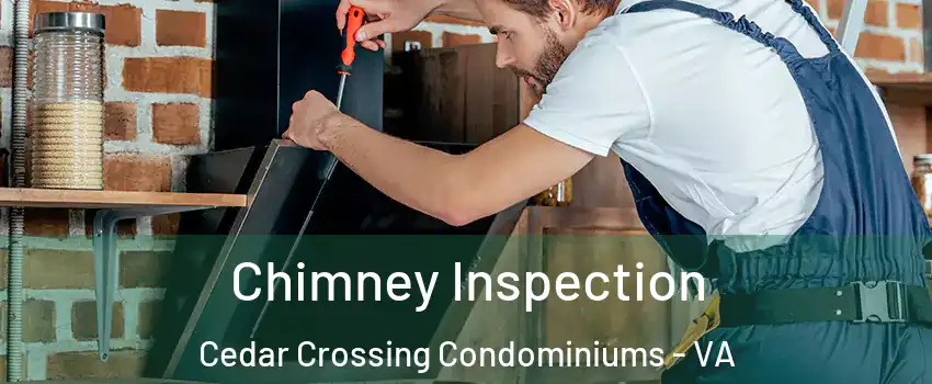 Chimney Inspection Cedar Crossing Condominiums - VA
