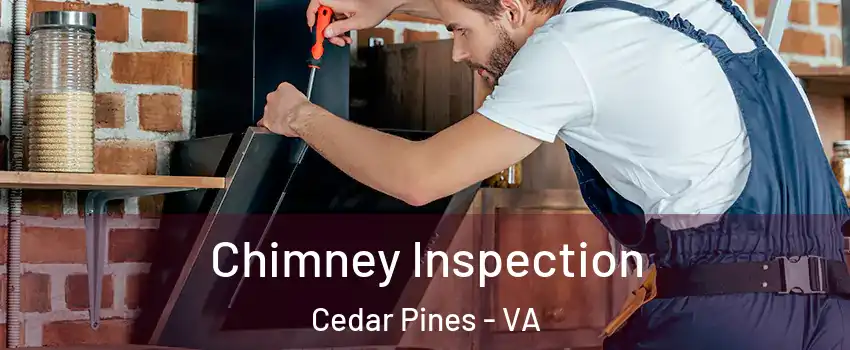 Chimney Inspection Cedar Pines - VA