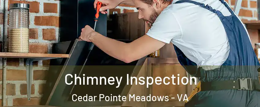 Chimney Inspection Cedar Pointe Meadows - VA