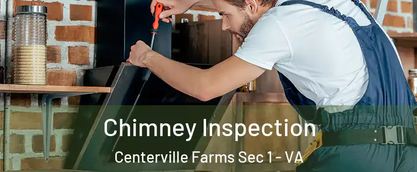 Chimney Inspection Centerville Farms Sec 1 - VA