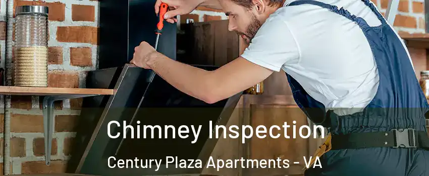 Chimney Inspection Century Plaza Apartments - VA