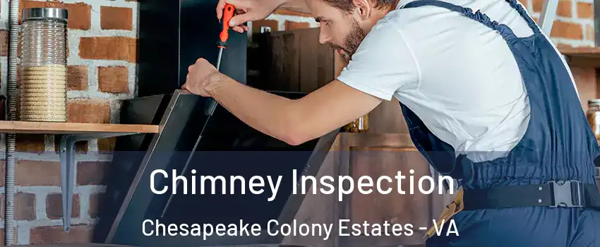 Chimney Inspection Chesapeake Colony Estates - VA