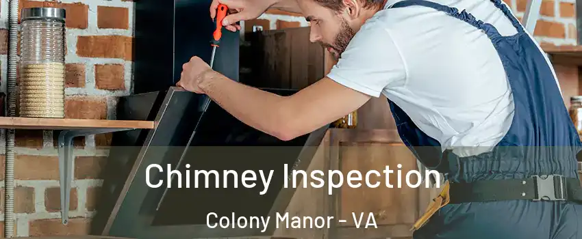 Chimney Inspection Colony Manor - VA