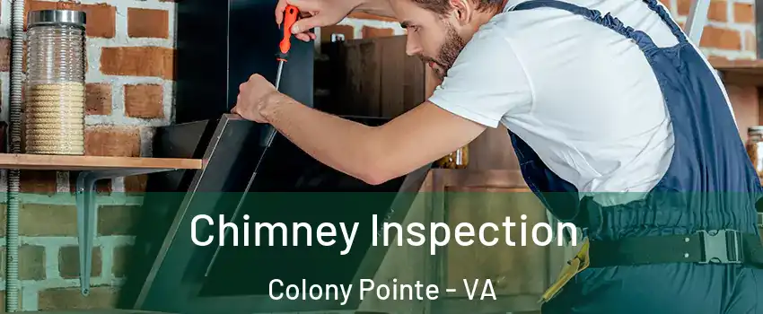 Chimney Inspection Colony Pointe - VA