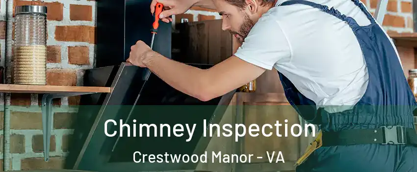 Chimney Inspection Crestwood Manor - VA