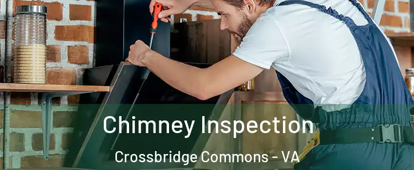 Chimney Inspection Crossbridge Commons - VA