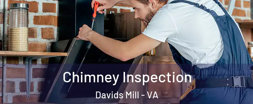 Chimney Inspection Davids Mill - VA
