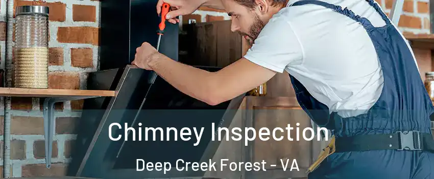 Chimney Inspection Deep Creek Forest - VA