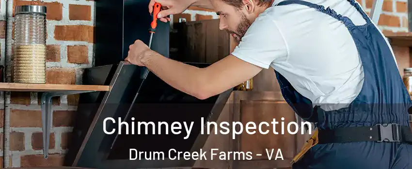Chimney Inspection Drum Creek Farms - VA