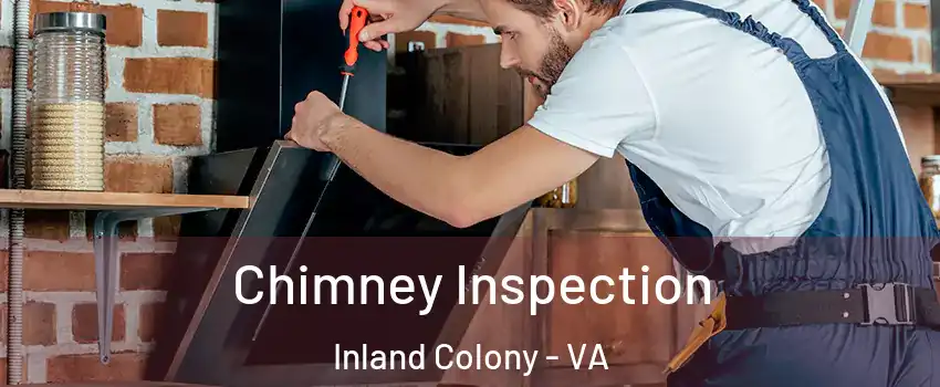 Chimney Inspection Inland Colony - VA