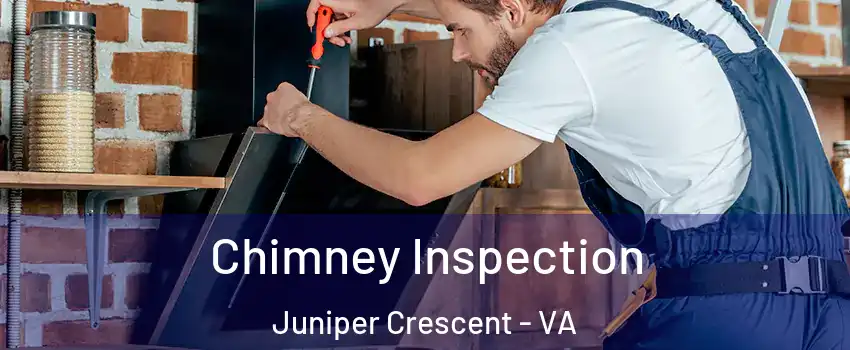 Chimney Inspection Juniper Crescent - VA