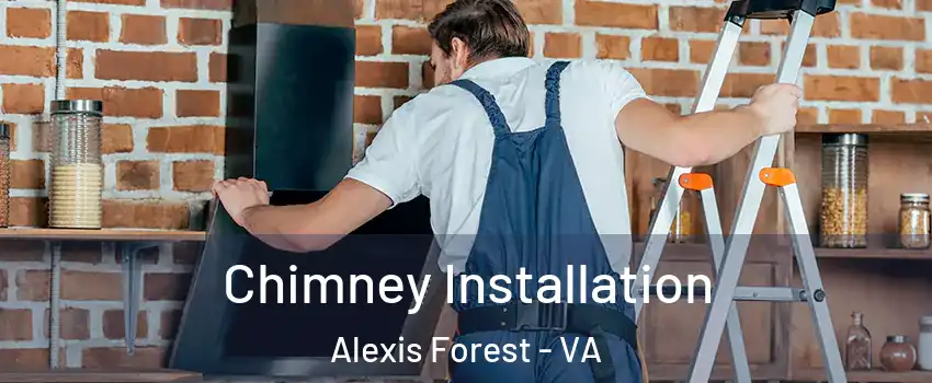 Chimney Installation Alexis Forest - VA