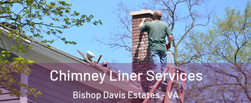Chimney Liner Services Bishop Davis Estates - VA