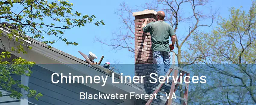 Chimney Liner Services Blackwater Forest - VA